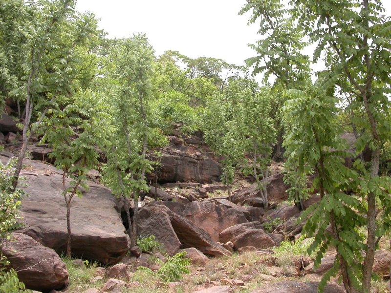Jiagba; Gyegwe; Tserama