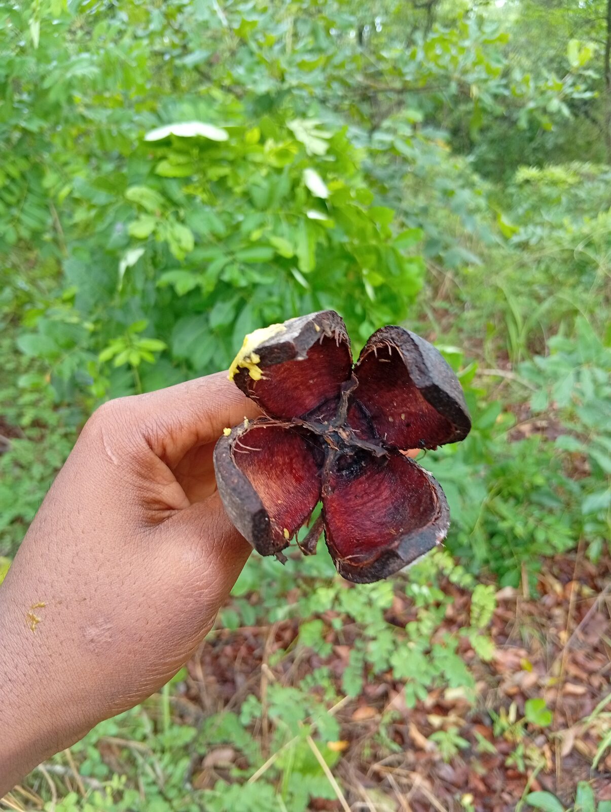 Umanatumba; Kpantembe