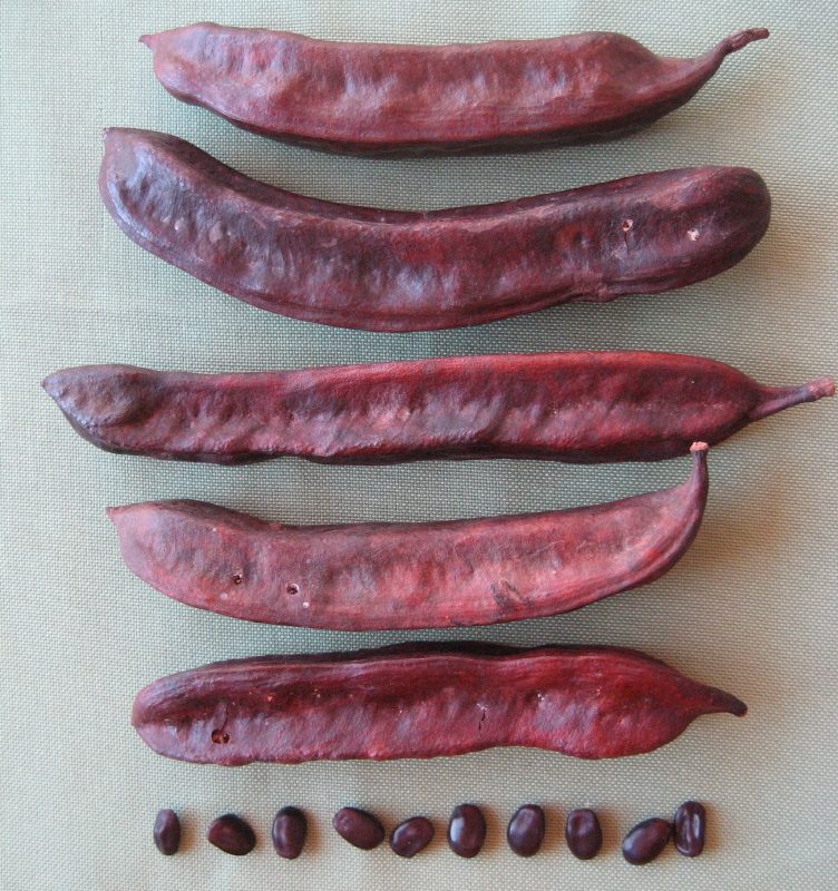 Kpan gbagbongum